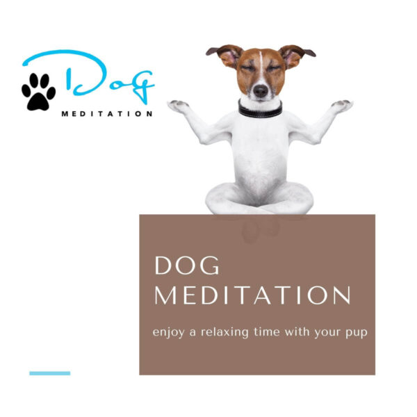 The Meditation Lounge Dog Meditation