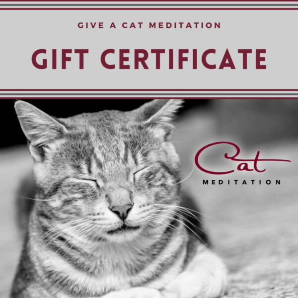 Cat Meditation Gift Certificate