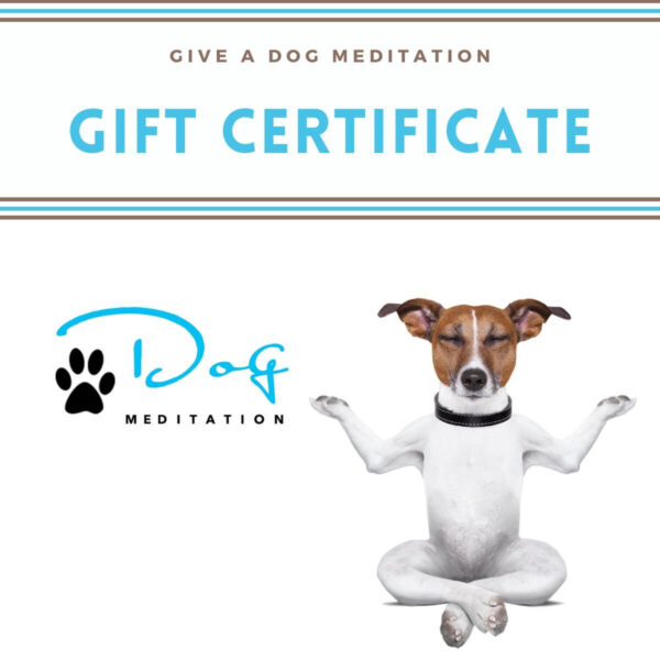 Dog Meditation Gift Certificate